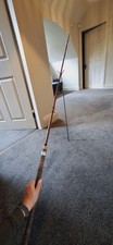 Strong flexible 10ft for sale  BROUGH