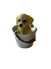 Golden retriever puppy for sale  New Braunfels