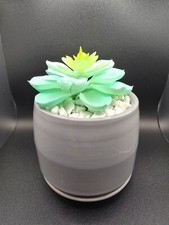 Small faux succulent for sale  De Pere