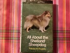 Shetland sheepdog felicity for sale  NEW MILTON