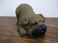 Shudehill bulldog pug for sale  BRENTWOOD