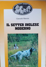 Setter inglese moderno usato  Montecatini Terme
