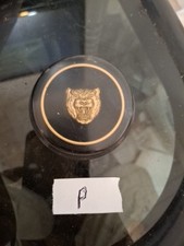 Vintage 1960s jaguar for sale  Woodland