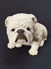 Sandicast white bulldog for sale  Arlington