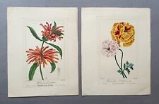 Botanique fleurs gravures d'occasion  Artigues-près-Bordeaux