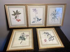 Antique botanical prints for sale  BRIDGNORTH