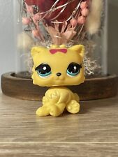 Petshop chat persian d'occasion  Expédié en Belgium