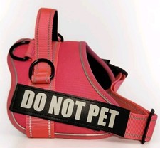 Pet pink dog for sale  Sarasota