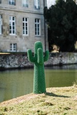 Gufram cactus grün gebraucht kaufen  Havixbeck