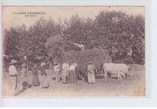 Sourgen foins boeufs d'occasion  France