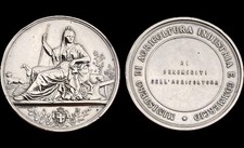 Medaglia argento benemerenti usato  Abetone Cutigliano