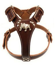 Bulldog leather dog for sale  LEICESTER