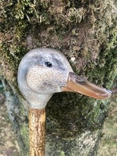 Mallard duck head for sale Mallard duck head for sale  MARKET DRAYTON