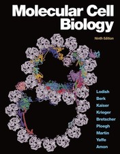 Molecular cell biology usato  Italia