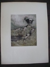 Gravure arthur rackham d'occasion  Pougues-les-Eaux