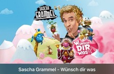 Tickets sascha grammel gebraucht kaufen  Essen