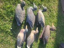 Lot decoy ducks for sale  Oklahoma City