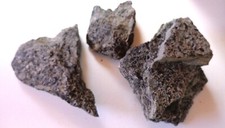 Bonebed fossilien rhät gebraucht kaufen  Deutschland