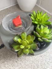 Scentsy little garden for sale  BEDFORD