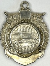 Vintage skittles medal for sale  TORQUAY