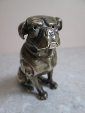 english bulldog for sale english bulldog for sale DAVENTRY
