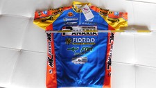 Fahrradtrikot herren größe gebraucht kaufen  Pressig