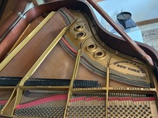 Steinway grand piano for sale  Pompano Beach