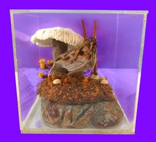 Taxidermy bird mushroom for sale  Atlanta