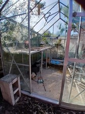 8ft x 6ft greenhouse for sale 8ft x 6ft greenhouse for sale WORCESTER