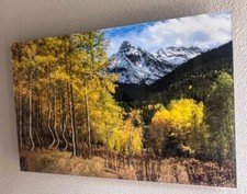 gorgeous photography for sale gorgeous photography for sale Fort Collins