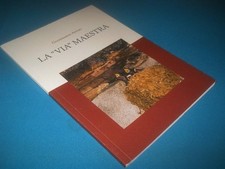 Gianfranco asveri via usato  Solaro
