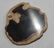 Bois fossilisé poli d'occasion  Challans
