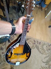 Rogue 100a shape for sale  Covington