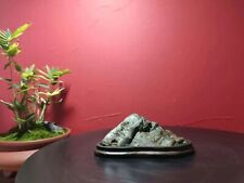 China Pedras naturais de montanha Bonsai Suiseki nove dragões pedra de parede 092303 comprar usado  Enviando para Brazil
