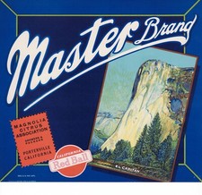 Original unused master for sale  Prescott