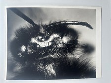 Original science photograph. d'occasion  Expédié en Belgium