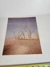 Usado, Fotografia fotográfica vintage da década de 1970 cor vintage Oregon Coast Beach grama areia comprar usado  Enviando para Brazil