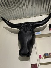 Steer head roping for sale  Disney