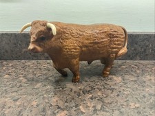 Highland cattle bull for sale Highland cattle bull for sale  SUTTON-IN-ASHFIELD