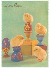 1970 buona pasqua usato  Italia