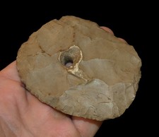 Suspended paleo archaic for sale  Imperial