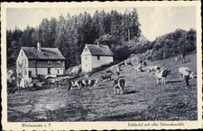 Weilmünster taunus hessen gebraucht kaufen  Berlin