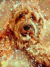 Labradoodle art print for sale  NOTTINGHAM