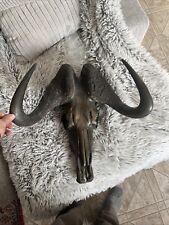 Huge bronzed african for sale  Missoula