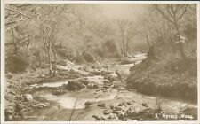 Postcard rotary photograph for sale  ROSSENDALE
