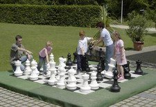 Chess pieces chess for sale  Fairfield