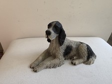 Castagna english setter for sale  SHANKLIN