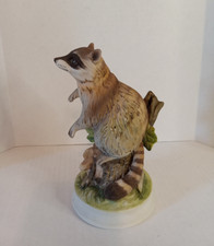 Vintage porcelain raccoon for sale  Rice