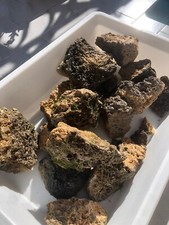 Rocce acquario sabbia usato  Visciano