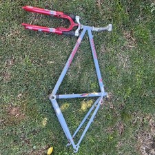 Specialized stumpjumper comp for sale  Forestville